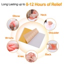 20-pcs-capsaicin-patches-capsicum-ginger-3.jpg