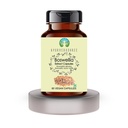 ayurvedashree-boswellia-serrata-extract--2.jpg