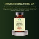 ayurvedashree-boswellia-serrata-extract--3.jpg