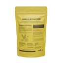saptamveda-amla-indian-gooseberry-powder-2.jpg