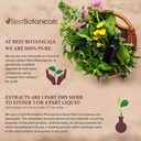 best-botanicals-chaste-tree-berry-powder-4.jpg