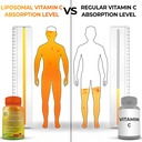 liposomal-vitamin-c-1500mg-vegan-whole-f-2.jpg