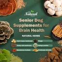 senior-dog-supplements-for-brain-health--2.jpg