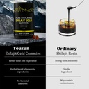 shilajit-gummies-alpha-gummies-for-men-l-4.jpg
