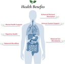 foods-for-gut-lactobacillus-plantarum-pr-3.jpg