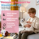 cat-uti-treatment-dog-urinary-tract-infe-4.jpg