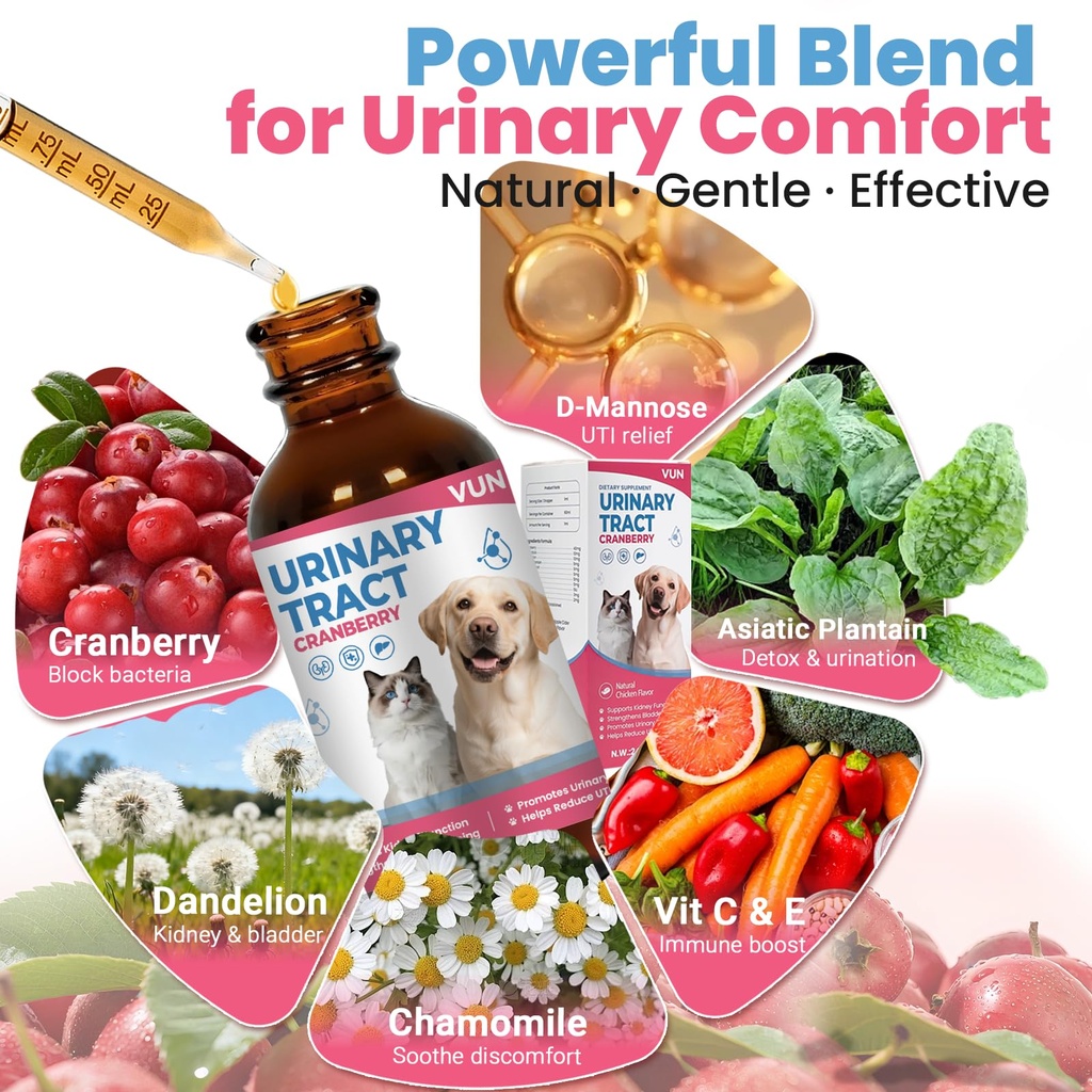 cat-uti-treatment-dog-urinary-tract-infe-2.jpg