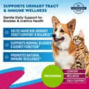 cat-dog-urinary-tract-infection-treatmen-2.jpg