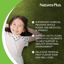 naturesplus-animal-parade-kidgreenz-trop-4.jpg