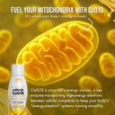 liquid-coq10-120mg-of-bioavailable-ubiqu-6.jpg
