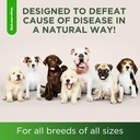 natural-antibiotics-for-dogs-and-puppies-6.jpg