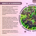 allergy-defense-with-nettle-delicious-gl-5.jpg