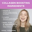 vital-vitamins-vegan-collagen-booster-pr-4.jpg