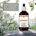 bilberry-vaccinium-myrtillus-dry-leaf-ti-5.jpg