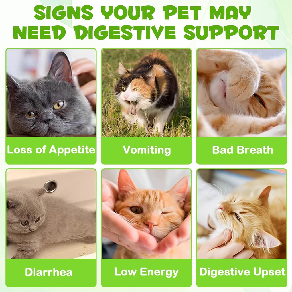 probiotics-for-cats-cat-probiotic-with-p-3.jpg