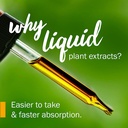 herb-pharm-hydrangea-liquid-extract-for--3.jpg