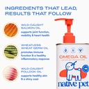 native-pet-daily-wellness-bundle-chicken-5.jpg