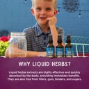 wishgarden-herbs-kick-it-allergy-for-kid-5.jpg