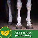 farnam-hb-15-hoof-supplement-supports-he-4.jpg