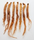 red-panax-ginseng-1-16oz-6-year-old-whol-2.jpg
