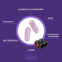 wellpath-shield-elderberry-capsules---5--4.jpg