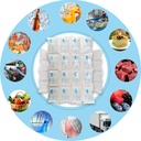 ice-packs-for-shipping-coolers-dry-ice-s-71MiBGQDLrL.jpg