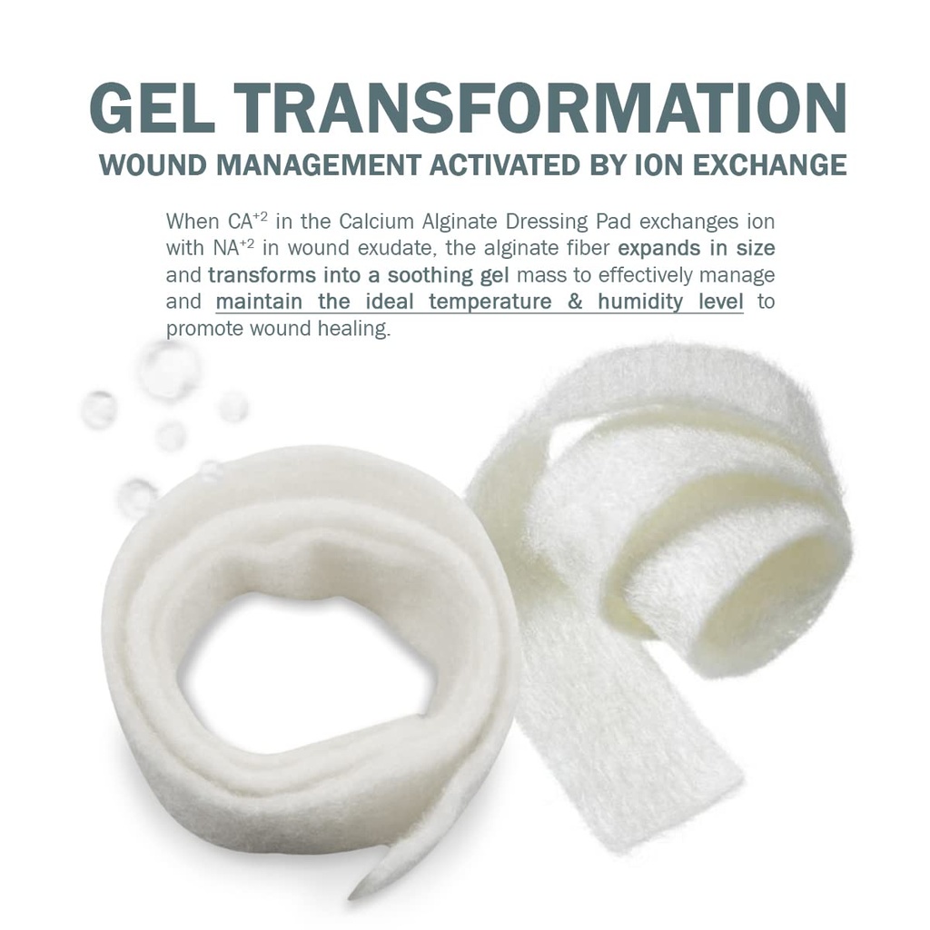 everlit-calcium-alginate-wound-dressing--61qT94YToML.jpg