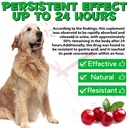 dog-urinary-tract-drops-liquid-cranberry-71SPyRIQGdL.jpg