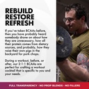 core-nutritionals-bcaa-powder-muscle-rec-71Eh3kLUesL.jpg