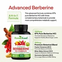 forestleaf-berberine-supplement-1300mg-p-71M+BXNM0EL.jpg