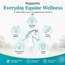 pro-e-equine-vitamin-e-supplement-liquid-81TLClQgG5L.jpg