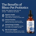 pet-advanced-cat-probiotic-drops-digesti-71oRHZr1YeL.jpg