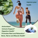 oil-of-oregano-softgels-180-count-2-in-1-81BZCuET-yL.jpg