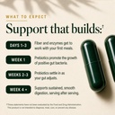 glp-1-companion-gut-supplement-20-in-1-p-91cltELHeUL.jpg