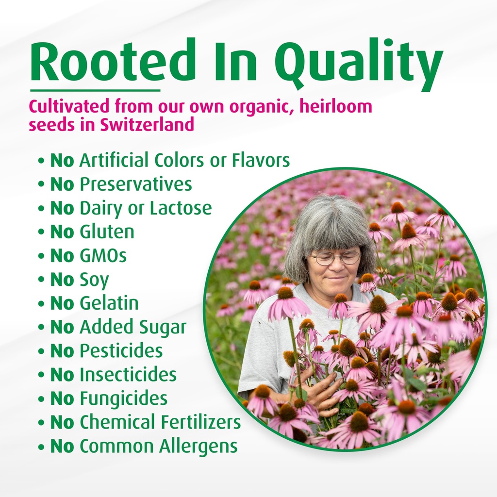 a-vogel-echinaforce-organic-echinacea-dr-81qJ5bTWFrL.jpg