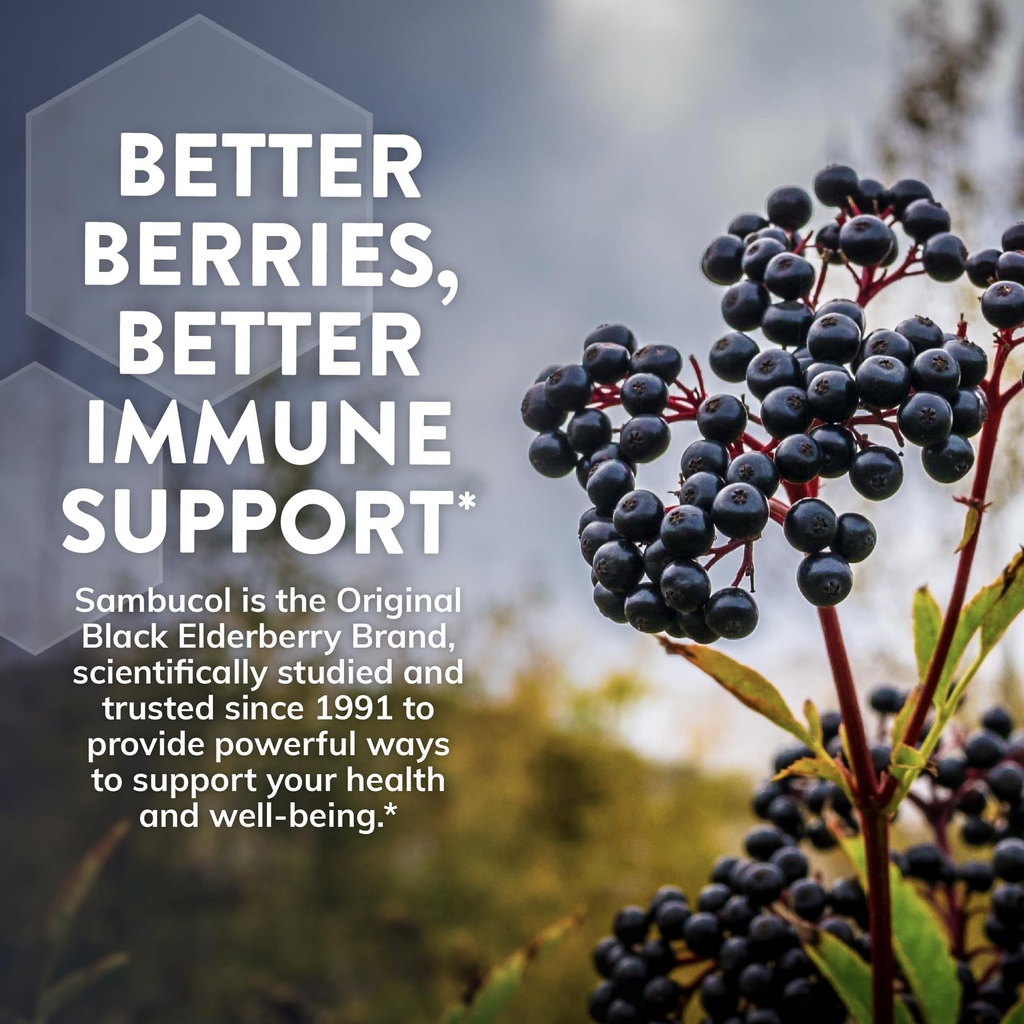 sambucol-black-elderberry-day-night-reli-81Fo3cnw+oL.jpg