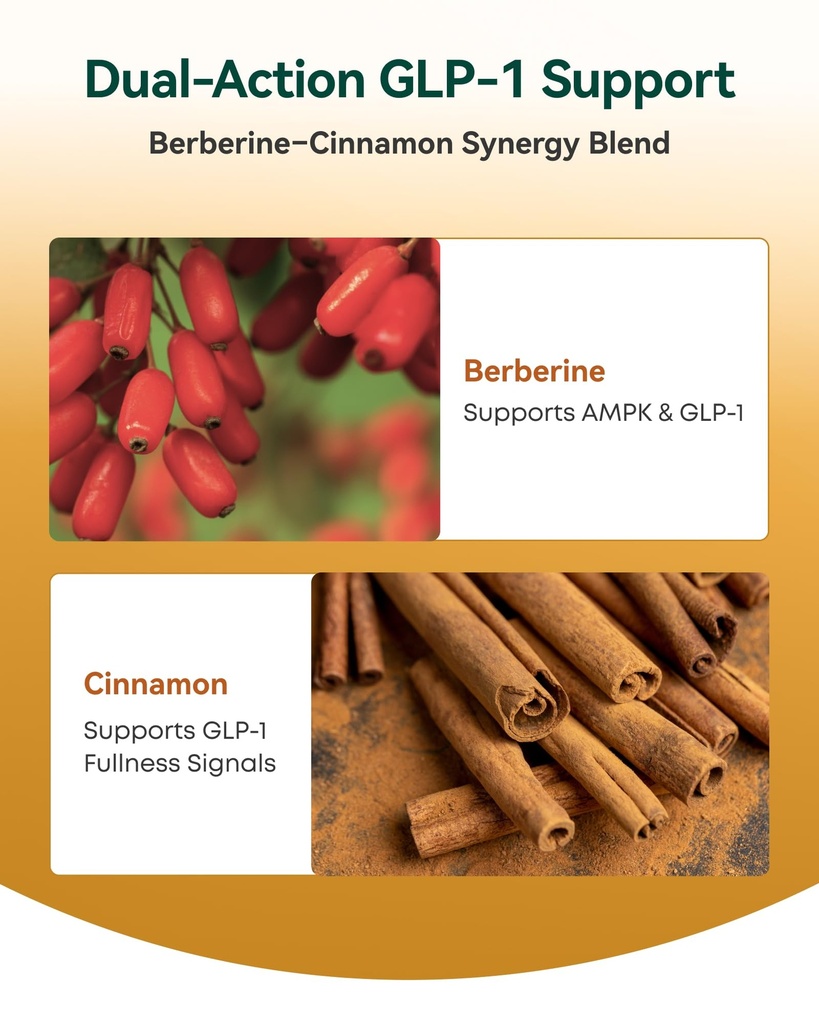 liposomal-berberine-with-ceylon-cinnamon-71HbcNJ823L.jpg