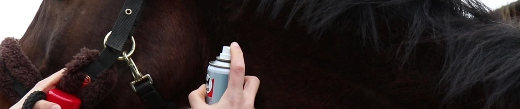 leovet-zinc-oxide-first-aid-spray-twin-p-51e4o2tQLTL.jpg