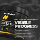 nutrabay-gold-micronised-creatine-monohy-81LzfKFz8aL.jpg