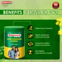 baidyanath-dhatu-paushtik-churna-100g-ay-71XFPGPfYlL.jpg