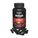 himalaya-shilajit-ashvagandha-combo-i-60-51Si6XCbiNL.jpg