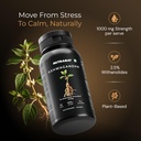 nutrabay-wellness-ashwagandha-extract-ta-81-pXLwehSL.jpg
