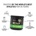 optimum-nutrition-bcaa-5g-bcaas-in-2-1-1-71af9C4SsKL.jpg