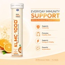 klm-c-1000-effervescent-tablets-amla-ext-61qqUaMNz3L.jpg