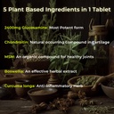 health-veda-organics-plant-based-glucosa-817k9B+zhjL.jpg