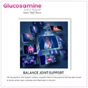 vokin-biotech-glucosamine-1000mg-msm-500-61gs6Udj1RL.jpg