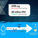 electrolyte-powder-100-servings-electrol-61GRq9Fg3bL.jpg