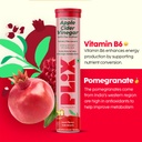 the-plant-fix-plix-apple-cider-vinegar-e-61Ciy-oq7nL.jpg