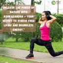 pure-nutrition-organic-ashwagandha-table-61y5gy88t5L.jpg