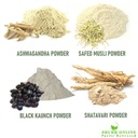 shudh-online-safed-musli-ashwagandha-kau-71VWOw2HIdL.jpg